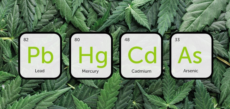 Heavy metals in Cannabis